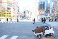 転校少女歌撃団「ショコラの独白」ミュージックビデオのオフショット。