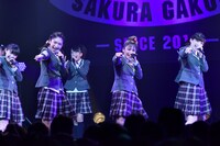 「The Road to Graduation 2017 ～放課後アンソロジー レッツ スタンディング～」の様子。