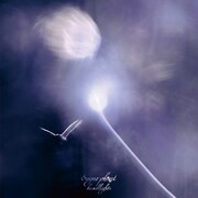 sugar plant「headlights」ジャケット