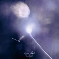 sugar plant「headlights」ジャケット