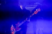 キタダマキ（B）（Photo by Viola Kam [V'z Twinkle]）