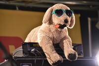 ミスモペのステージ上に置かれた犬のぬいぐるみ。