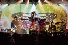 浅葱全国単独公演 二〇十八「斑（まだら）」千秋楽の様子。（写真提供：エイベックス）