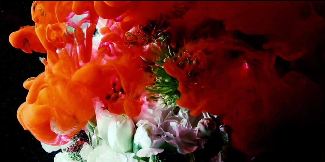 world's end girlfriend、花と光の映像で「生と死を巡り続ける命」を表現