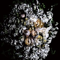 world's end girlfriend「MEGURI」ジャケット