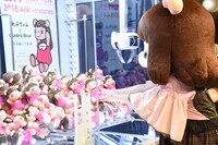 ぬいぐるみを投入するコレサワ。