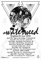waterweed「Brightest EU tour 2018」告知画像