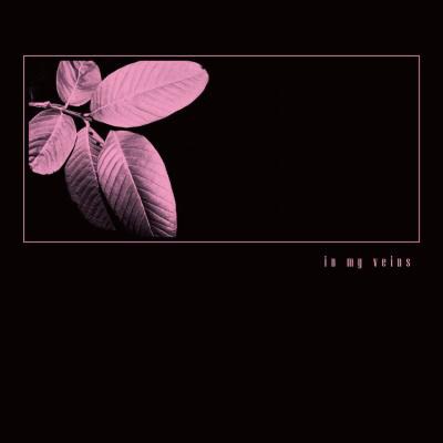 waterweed「In my veins」ジャケット
