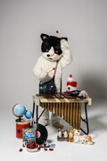 むぎ(猫)