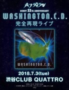 ホフディラン「Washington,C.D.（ワシントンCD）」完全再現ライブ告知画像