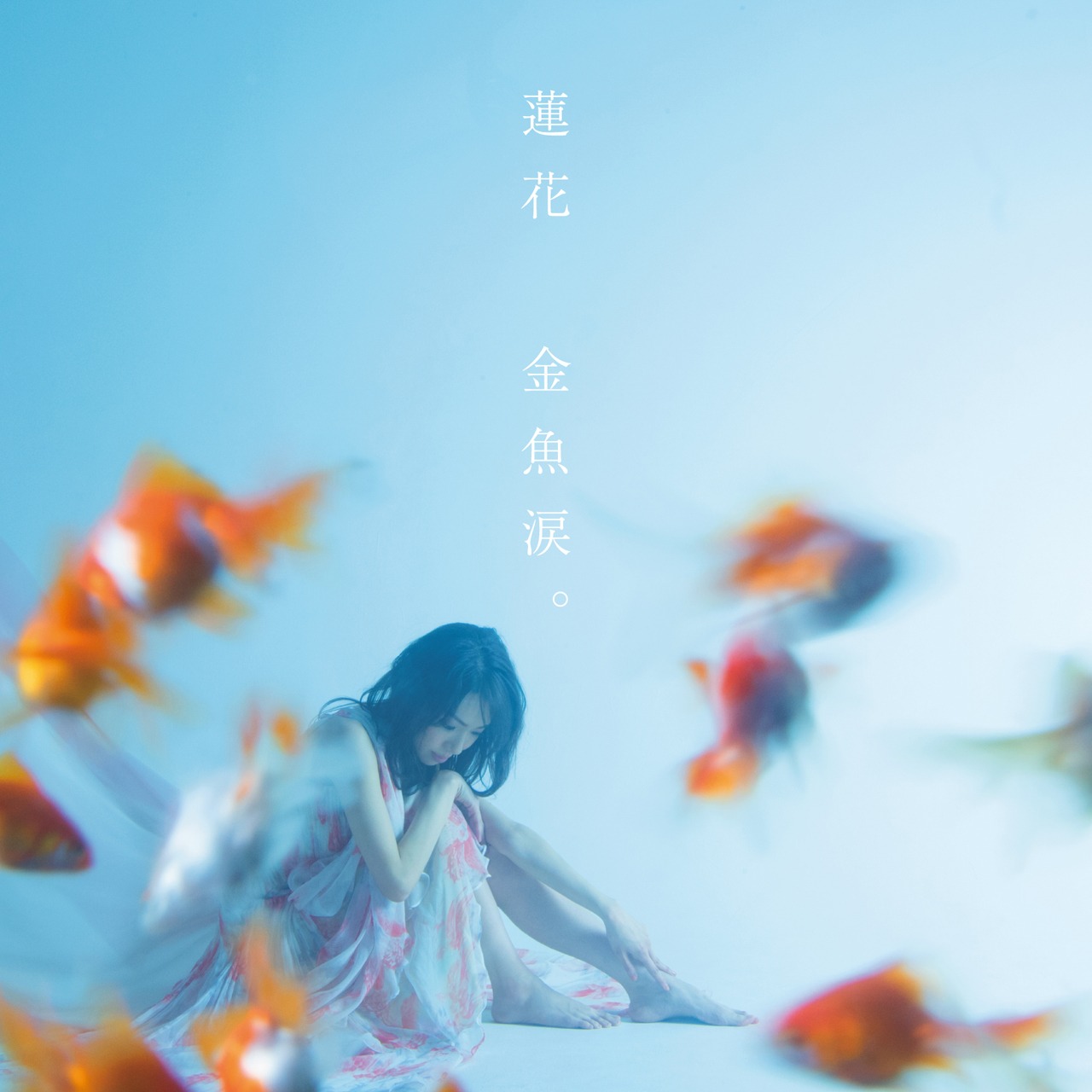 蓮花「金魚涙。」ジャケット