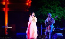 柴咲コウ「『柴咲 神宮』～平安神宮 月夜の宴～」の模様。