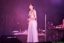 柴咲コウ「『柴咲 神宮』～平安神宮 月夜の宴～」の模様。