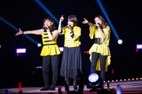 太陽とシスコムーン。左から信田美帆、小湊美和、稲場貴子。（写真提供：アップフロント）