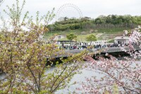 「YON FES 2018」の様子。（Photo by Taku Fujii）