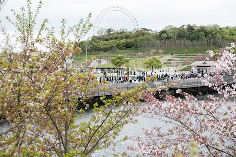 「YON FES 2018」の様子。（Photo by Taku Fujii）