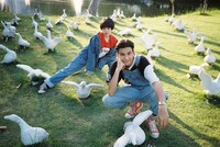 プム・ヴィプリット