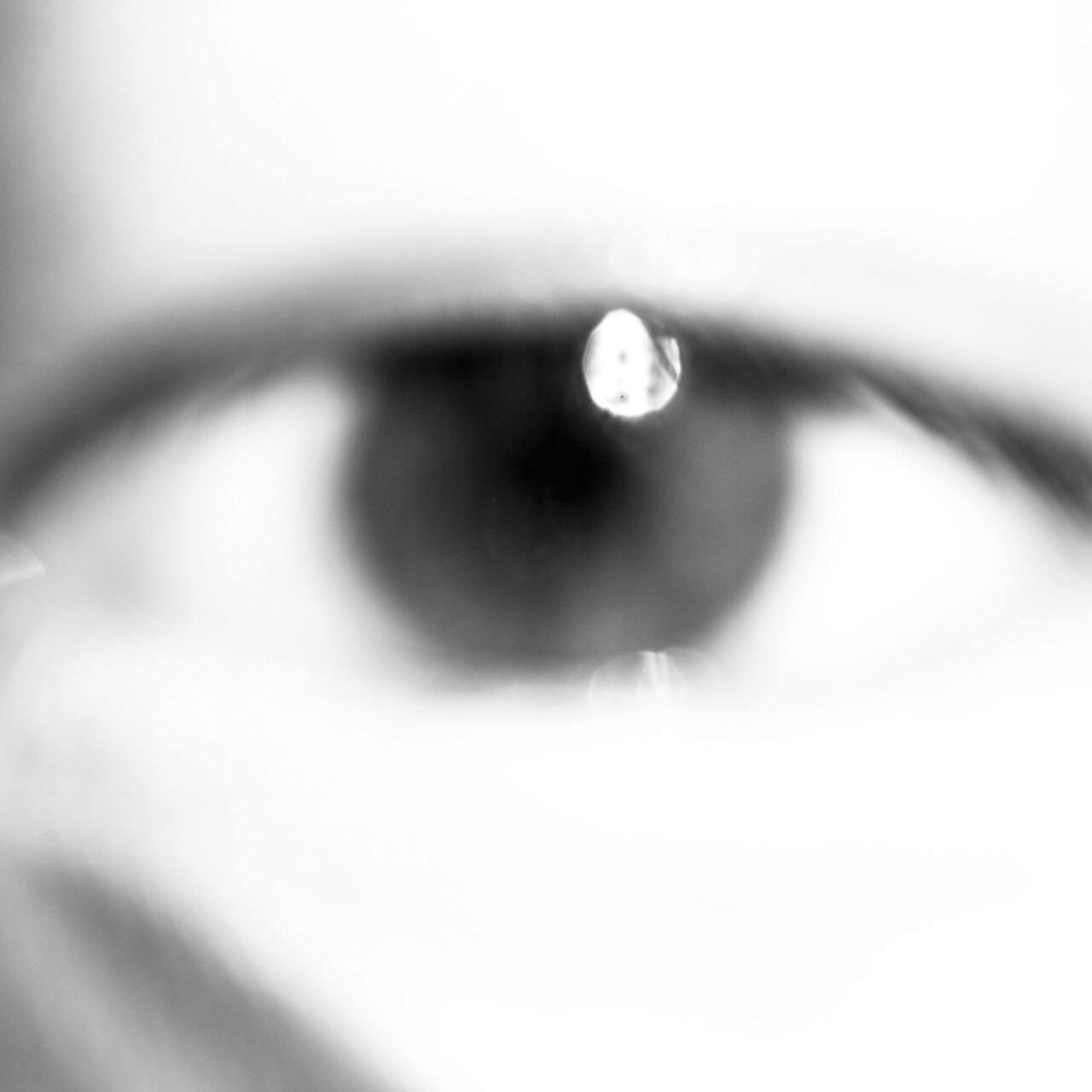 Age Factoryが憤怒する「WORLD IS MINE」