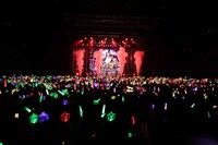 浦島坂田船「Spring Tour 2018 ～桜吹雪で乱de舞！～」最終公演の様子。（撮影：小松陽祐［ODD JOB］）