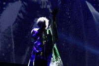 うらたぬき（撮影：小松陽祐［ODD JOB］）