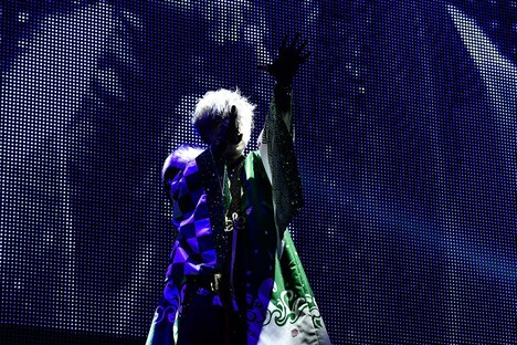 うらたぬき（撮影：小松陽祐［ODD JOB］）