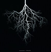 brainchild's「STAY ALIVE」通常盤ジャケット