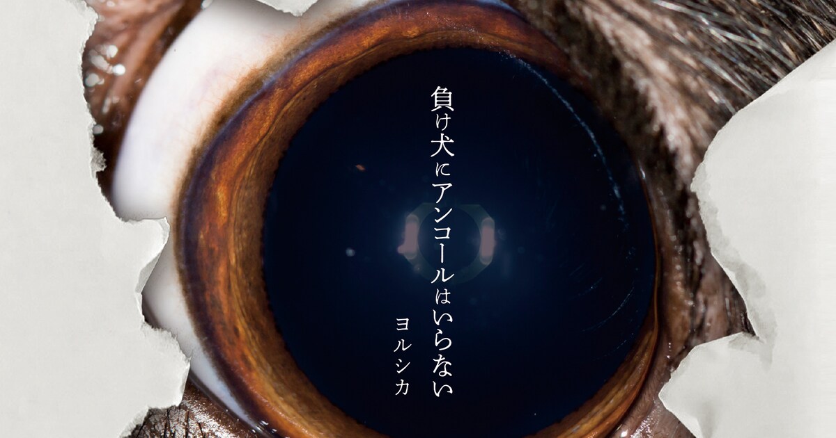 n-bunaバンド・ヨルシカ、新曲「ヒッチコック」MV公開（動画あり 