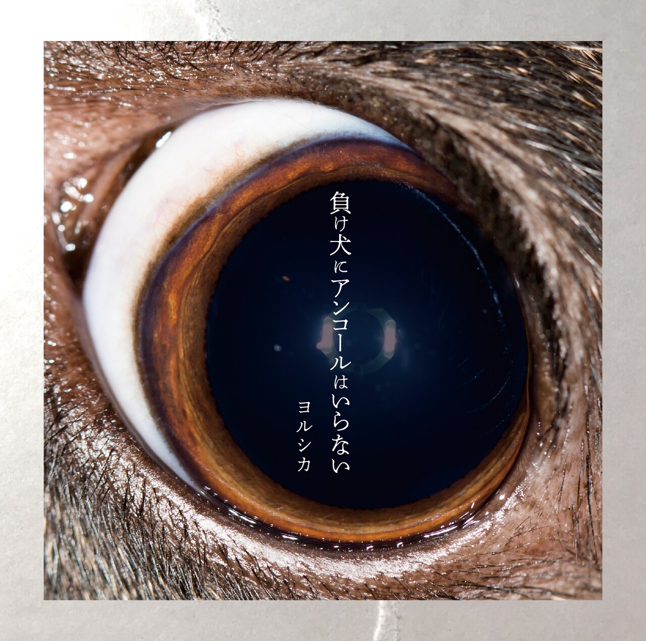 ヨルシカ「負け犬にアンコールはいらない」通常盤ジャケット