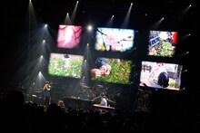 スキマスイッチ （撮影：岩佐篤樹）