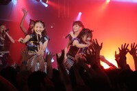 Devil ANTHEM.「春の東名阪ONE MAN TOUR『桜前線ツアーだったら花吹雪』」東京・SOUND MUSEUM VISION 公演の様子。（写真提供：エイジアプロモーション）