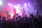 Devil ANTHEM.「春の東名阪ONE MAN TOUR『桜前線ツアーだったら花吹雪』」東京・SOUND MUSEUM VISION 公演の様子。(写真提供:エイジアプロモーション)