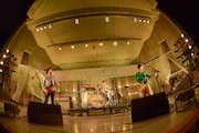 ペトロールズ(Photo by 古渓一道)