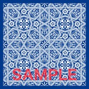 RADWIMPS「カタルシスト」完全生産限定盤のバンダナイメージ。