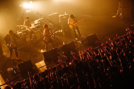 ポルカドットスティングレイ（撮影：上山陽介）