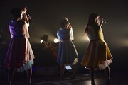 Negicco「世田谷コンサート」の様子。