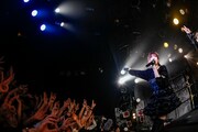 LADYBABY「TOUR2018-SADAME-」東京・渋谷CLUB QUATTRO公演の様子。（撮影：タマイシンゴ）