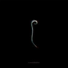 a crowd of rebellion「Ill」配信盤ジャケット