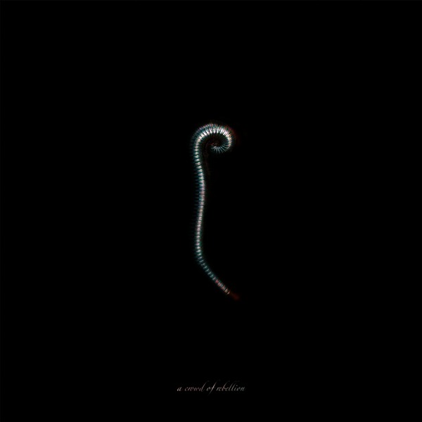 a crowd of rebellion「Ill」配信盤ジャケット