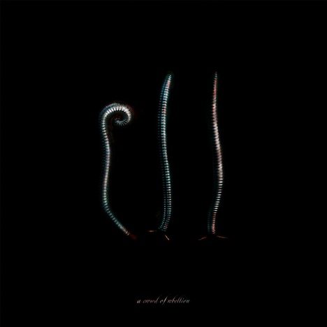 a crowd of rebellion「Ill」ジャケット