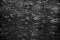 「Fog.」の様子。