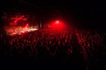 D'ERLANGER「D'ERLANGER REUNION 10TH ANNIVERSARY FINAL」東京・チームスマイル・豊洲PIT公演の様子。