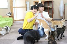 猫に囲まれるユースケとタカシ。