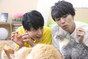 猫たちと触れ合うユースケとタカシ。