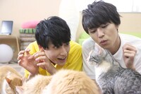猫たちと触れ合うユースケとタカシ。