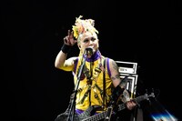 CHIROLYN（B / hide with Spread Beaver）