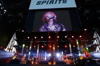 hide with Spread Beaver