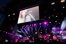 hide with Spread Beaver