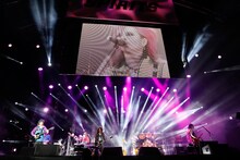 hide with Spread Beaver