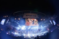 hide with Spread Beaver