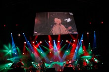 hide with Spread Beaver